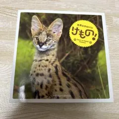 世界のかわいいけもの!