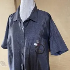 Item thumbnail for item 4f4f4ff8-3ca5-46fa-89a0-9c9d5926ad33