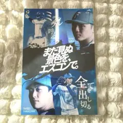 郡司　柳川　ステッカー　ファイターズ　日ハム