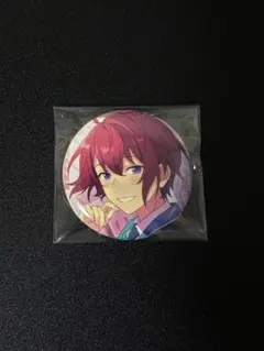 朱桜司　フィーチャー2　缶バッジ　idol 35個セット 朱桜司 フィーチャー2 缶バッジ idol 35個セット 朱桜司