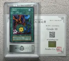 ARS10 融合 初期 ノーマル 絵違い 遊戯王 鑑定品
