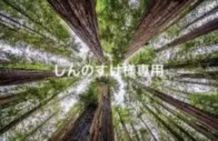 しんのすけ様専用出品