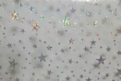 Item thumbnail for item f021eb50-c239-41d1-ba2f-d570998417e5