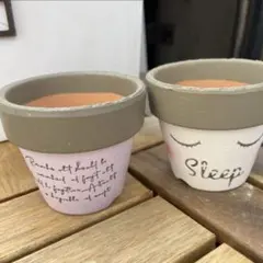 リメイク鉢 ガーデニング