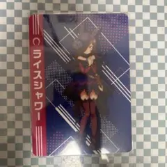 ウマ娘　ライスシャワー　シート　カード