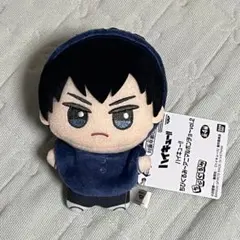 ハイキュー！！　ちびぐるみ　アニマルポンチョ　vol.2 影山飛雄