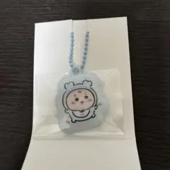 ちいかわベビー　トレーディングPVCぷっくりキーホルダー（古本屋）