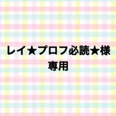 レイ★プロフ必読★様専用