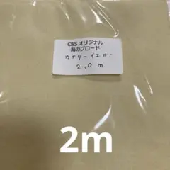 CHECK&STRIPE カナリイエロー 海のブロード　生地 2m