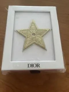 Dior ディオール ブローチ　PIN