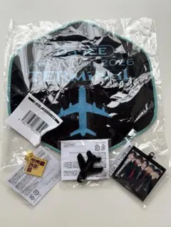 Da-iCE カプセルトイ 和田颯 飛行機アクリルキーホルダー - メルカリ