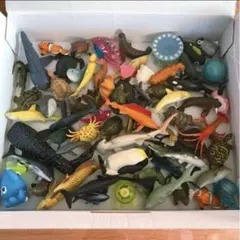 海洋生物フィギュアセット 約60体セット　おまけ付き　送料込み　匿名配送