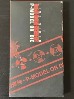 p-model フロッピーディスク 平沢進 - メルカリ
