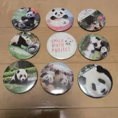 アドベンチャーワールド パンダ 缶バッジ 9点セット
