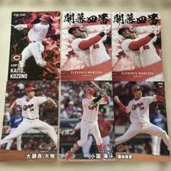 2025プロ野球チップスカード 広島