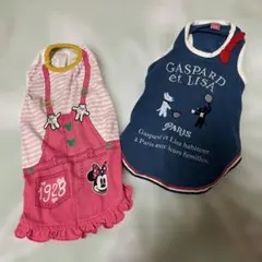 犬　服　２枚セット　5/10最終