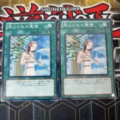 まんまるここみん様 リクエスト 2点 まとめ商品