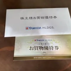 ヤマダ電機　優待　5000円分　期限26/6