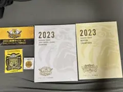 Item thumbnail for item 10a8d898-2fad-451b-bb92-809d72c0885a