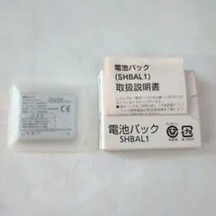 Item thumbnail for item 433de2be-8f19-41c4-b2d6-a74a5cfa718e