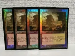 2026年最新】乾燥台地 foilの人気アイテム - メルカリ