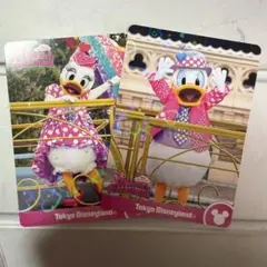 ファンダーランド　デイジー　ドナルド　コレクションカード