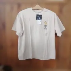 Item thumbnail for item b23aa11c-531b-45a9-a7e7-8b0a4b83b649