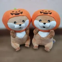 2025年最新】可愛い嘘のカワウソハロウィンの人気アイテム