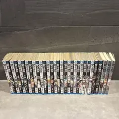 帯付き多数】☆D.Gray-man 1〜29巻 全巻セット ディーグレイマン