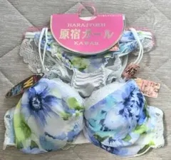 新品 未使用 白鳩 シロハト ブラジャー ショーツ セット A75のサムネイル