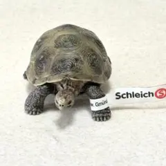 ドイツ シュライヒ schleich フィギュア 大カメのサムネイル