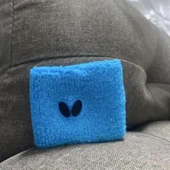 Item thumbnail for item 0d9a01f4-cfff-43af-b2e8-9d4e7f94f627