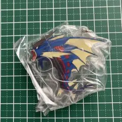 ポケモン⭐︎メガシンカ⭐︎アクリルスイング⭐︎メガギャラドス