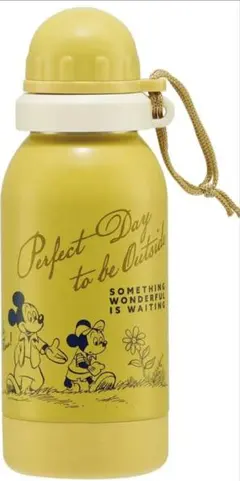 水筒 580ml 一層ステンレスボトル 常温 軽量 スケーター　ミッキーマウス