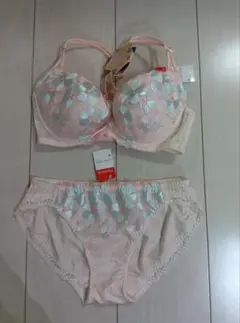 未使用★トリンプ★セットアップ