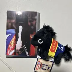 【むしむし様専用】サラブレッドコレクション イクイノックス　キタサンブラック