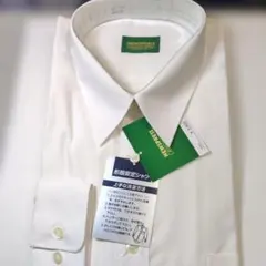 Item thumbnail for item 663bc488-34b6-44a2-bbfe-bbea3c781626