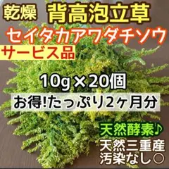 Item thumbnail for item 8bc32d06-e2d2-4b17-864a-16a96aa1539a