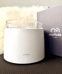 Item thumbnail for item 86bc7a58-7c41-4287-acba-a9bbd3cba678