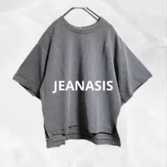 a1155 JEANASISジーナシス　スウェットカットソー　短丈　バックジップのサムネイル