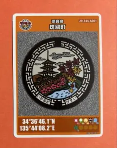 Item thumbnail for item bedce747-3b28-45fc-8d6f-c6a1e1a2b3d0