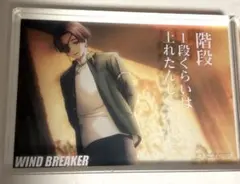 ウィンドブレイカー ダイソー