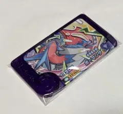 ポケモン　フレンダ　ボーマンダ　メガシンカ　スーパートレジャー　2