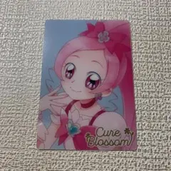 2025年最新】キュアブロッサム ウエハースhrの人気アイテム - メルカリ