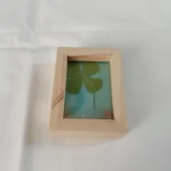 幸運のお守り本物の四葉のクローバープレゼント ありがとうの贈り物 置物