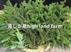 マリル様 リクエスト 5点 まとめ商品