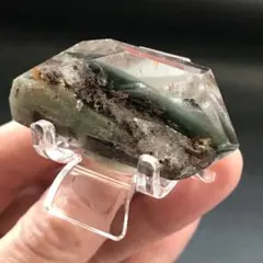 モネガーデン フリーフォーム