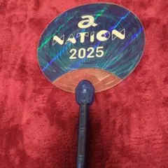 Item thumbnail for item 1b4cb210-5ded-4fc6-900e-dc0557fe3cab