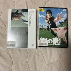 Item thumbnail for item a5f49e37-7f83-49df-9dfd-594595b10458