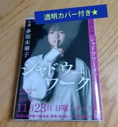 シャドウワーク　佐野広実